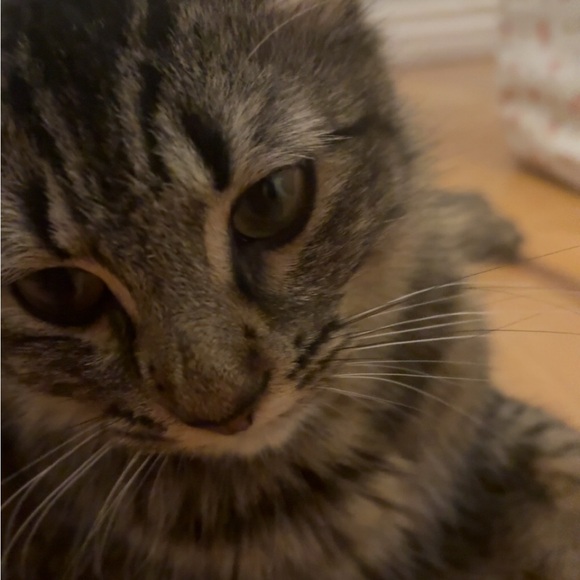 oliverrrrrrrrrr